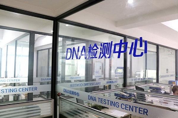 滨州DNA检测费用详解（了解不同类型DNA检测的收费方式及价格范围） 